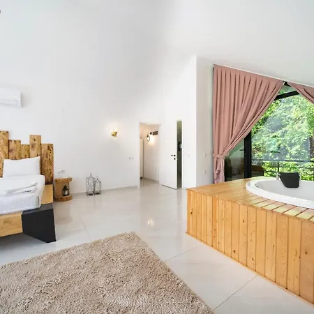 Villa Müstakil Yüzme Havuzlu Geniş Bahçeli Villa Loft Fethiye