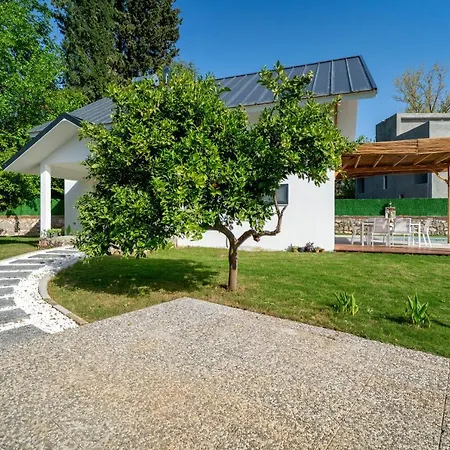 Müstakil Yüzme Havuzlu Geniş Bahçeli Villa Loft