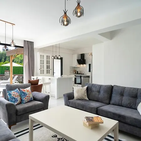 Villa Müstakil Yüzme Havuzlu Geniş Bahçeli Villa Loft *