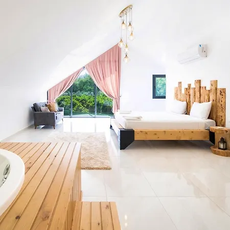 Müstakil Yüzme Havuzlu Geniş Bahçeli Villa Loft *