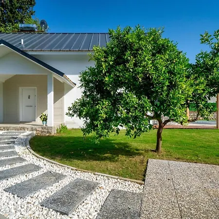 Muestakil Yuezme Havuzlu Genis Bahceli Villa Loft 费特希耶